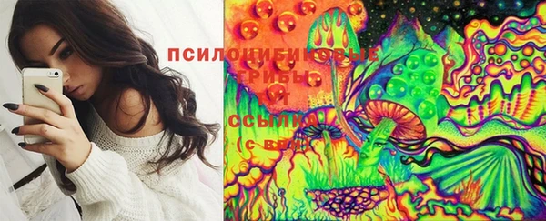 эйфоретик Горняк