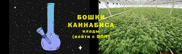 эйфоретик Горняк