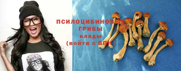 ешки Горнозаводск