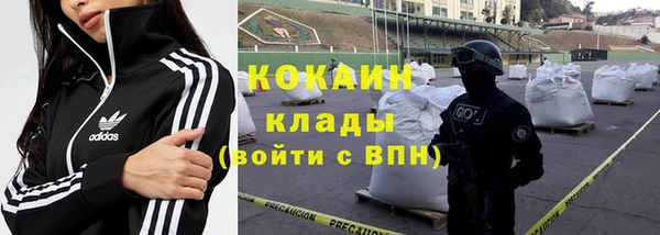 эйфоретик Горняк