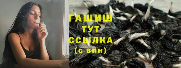сатива Горно-Алтайск