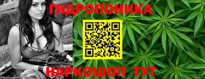 PSILOCYBIN Камышлов