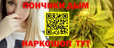PSILOCYBIN Камышлов