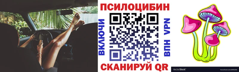 Псилоцибиновые грибы Psilocybe Нерюнгри
