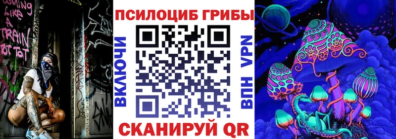 наркошоп  Нерюнгри  Псилоцибиновые грибы Psilocybe 