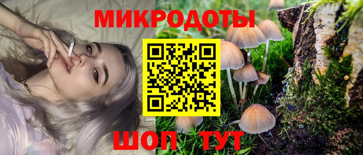 Псилоцибиновые грибы Magic Shrooms  Псилоцибиновые грибы Psilocybine cubensis  Нерюнгри  Вход с VPN 