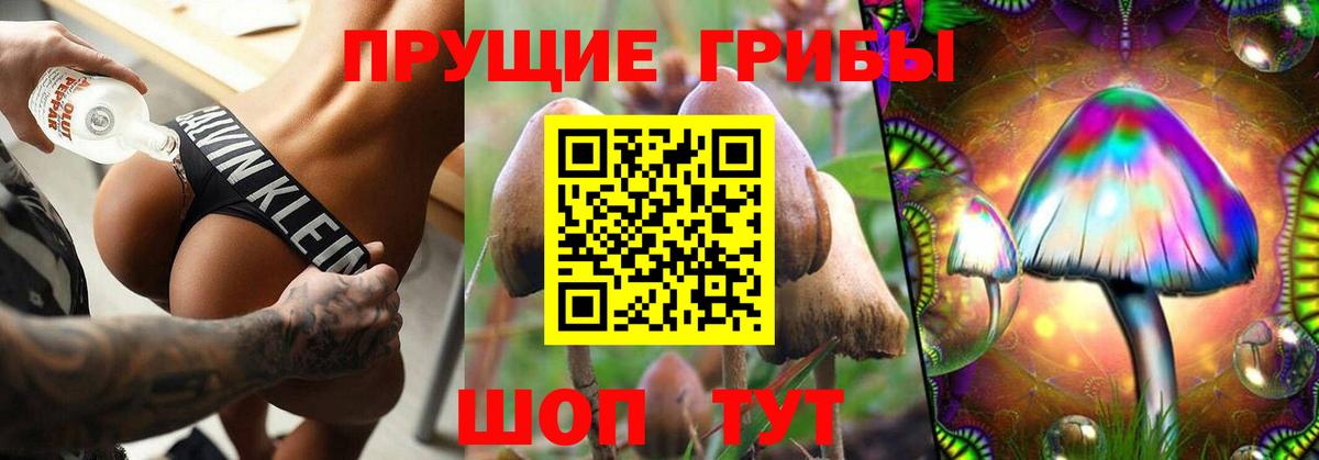 Псилоцибиновые грибы прущие грибы Нерюнгри